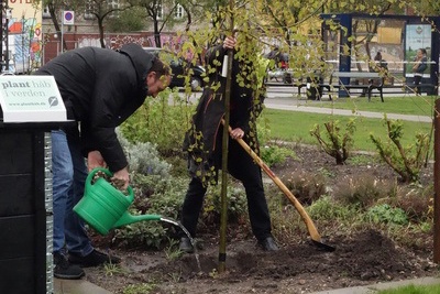 Træplantning