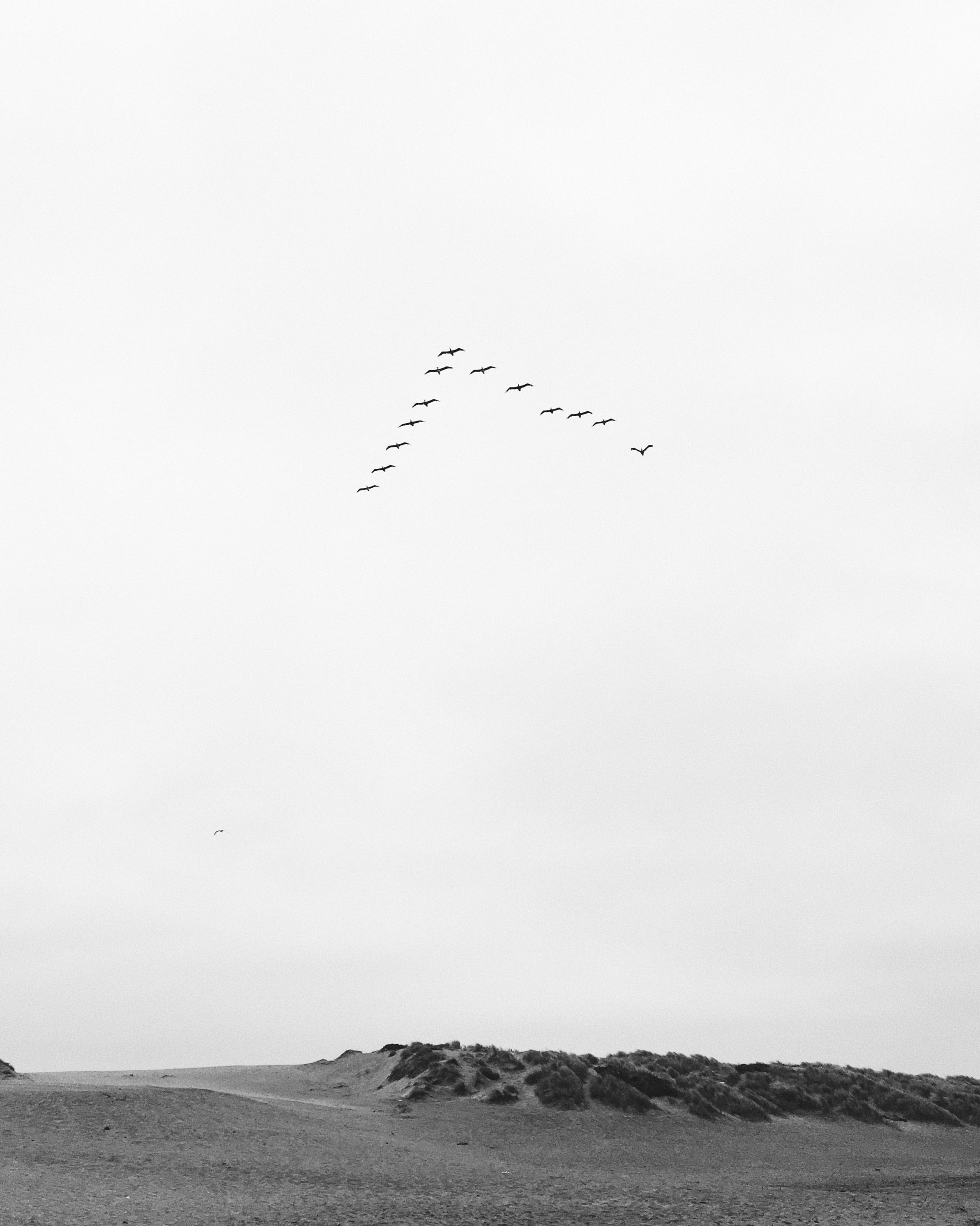 matej-rieciciar-3bj8X2NiE64-unsplash