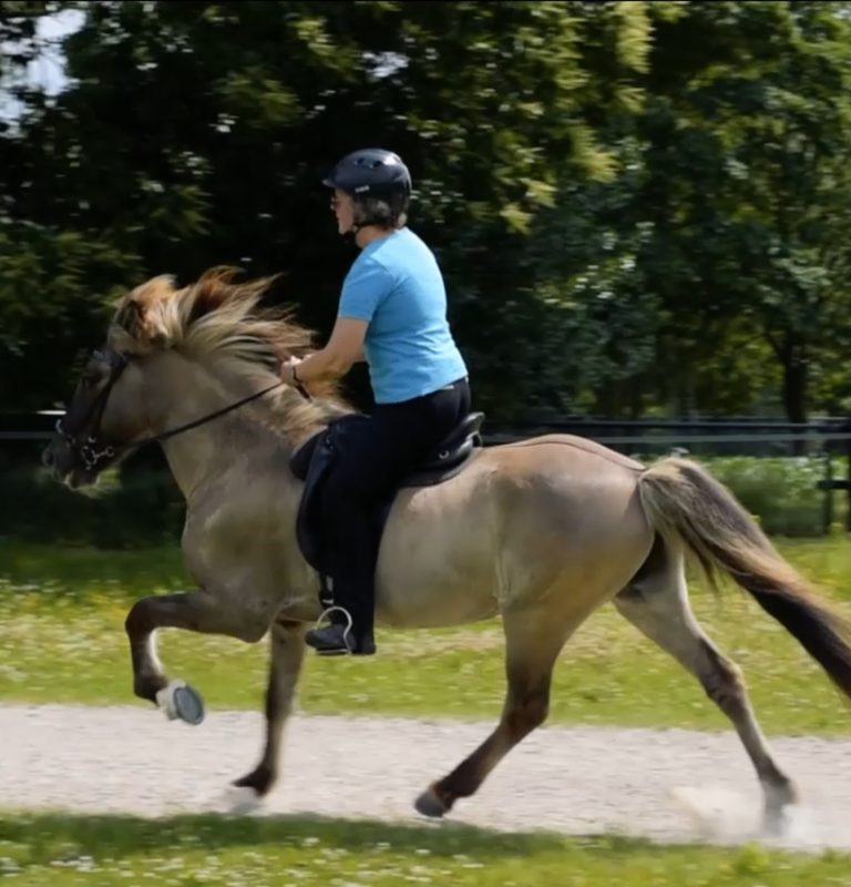 20210627_Rijlessen voor volwassenen