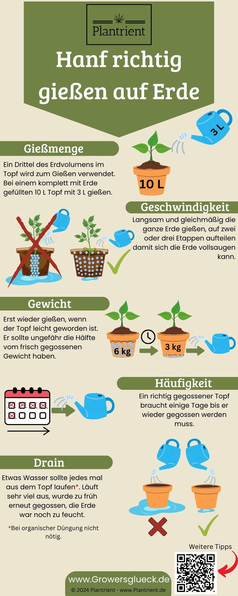 Gießtutorial Grow, Hanf richtig gießen, Überwässerung vermeiden