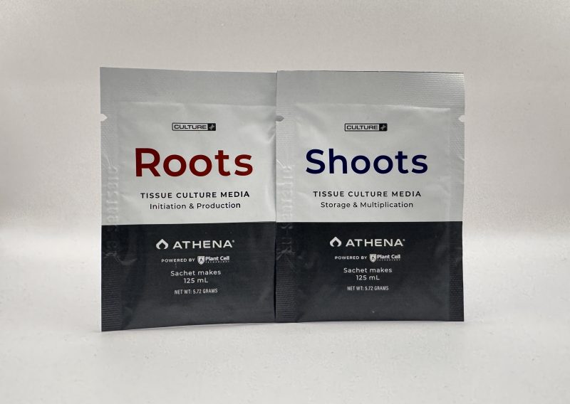 Athena Tissue Culture Medium für Gewebekultur, Variante Roots oder Shoots, Pulver zum Anmischen und Sterilisieren, 125 ml