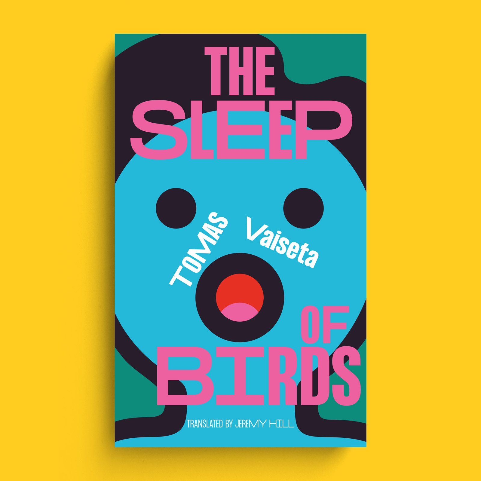The Sleep of Birds Book Cover Design