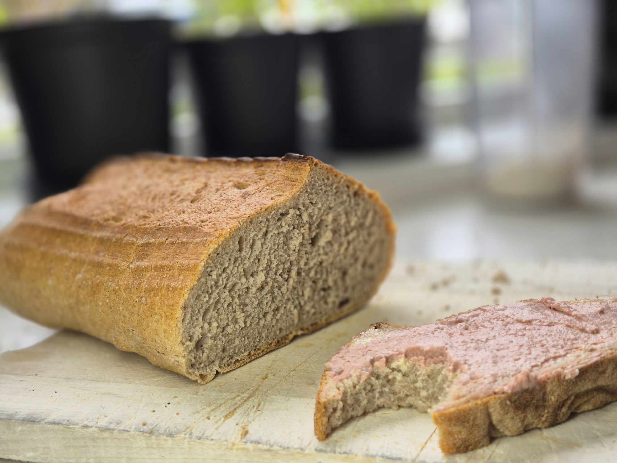 Poolish brød 50/50 Sammalt & Byggmel - Gubbebaking.no