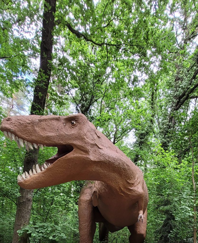 Saurierpark Kleinwelka, Blick auf T-Rex