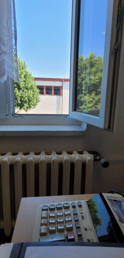 Blick aus Bürofenster in ein wenig Natur