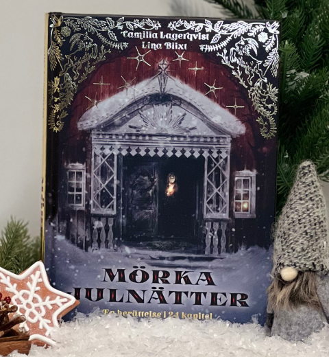 Adventsboken Mörka julnätter är en julberättelse som tar med sina läsare till en historisk jultid förr i tiden fylld med gedigen mysig julstämning och en gastkramande, spännande handling med en blandning av mystisk magisk folktro och massa underbar julkänsla. 