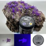 Pro Nymph Purple With Glitter Ost