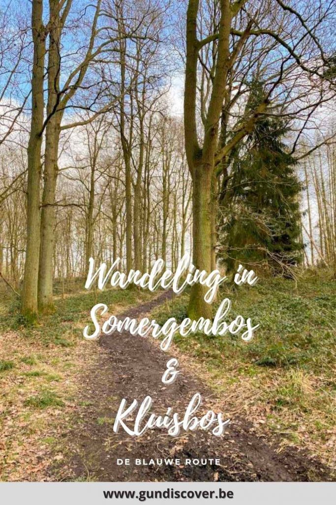 Wandelen in Somergembos en Kluisbos