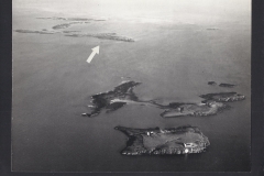 The Farne Islands