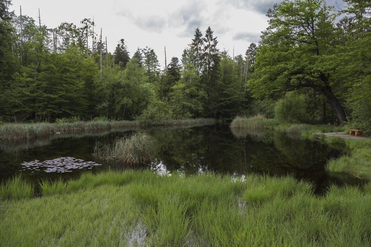 Moorlandschaft LJV NRW