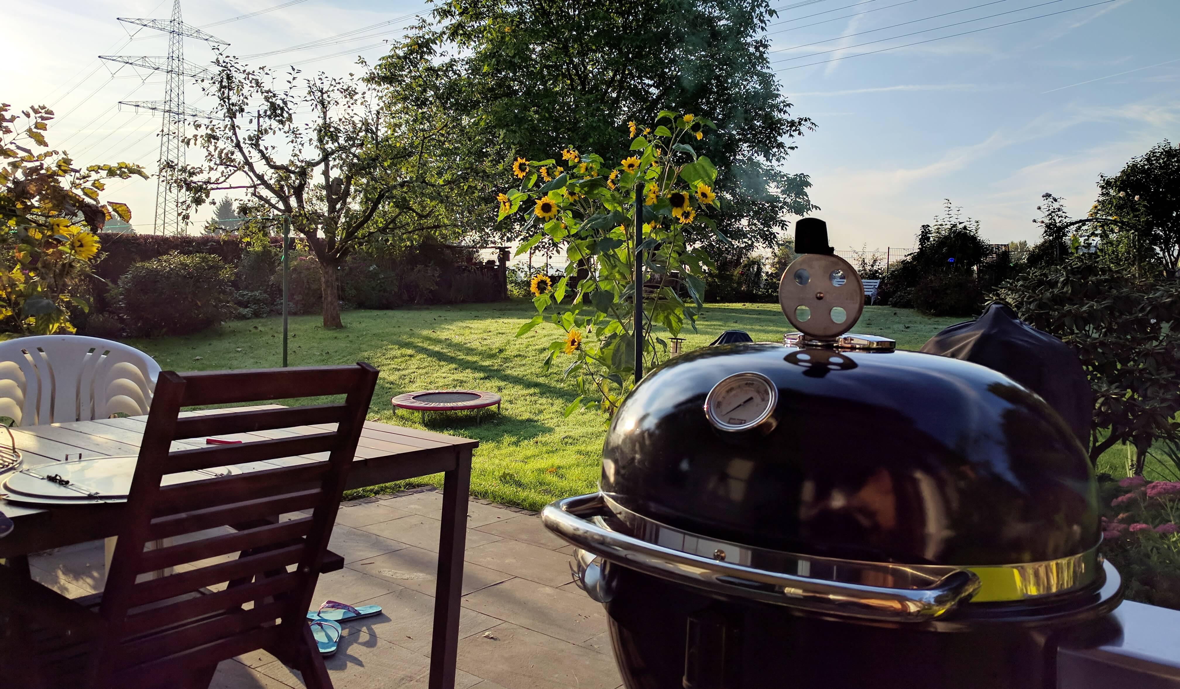 Weber Summit Charcoal