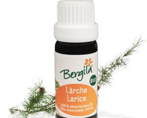 Bergila - Lærk - Lärche