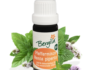 Bergila - Pebermynte - Pfefferminze