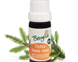 Bergila - Rødgran - Fichte
