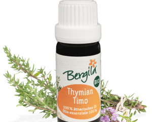 Bergila - Timian - Thymian