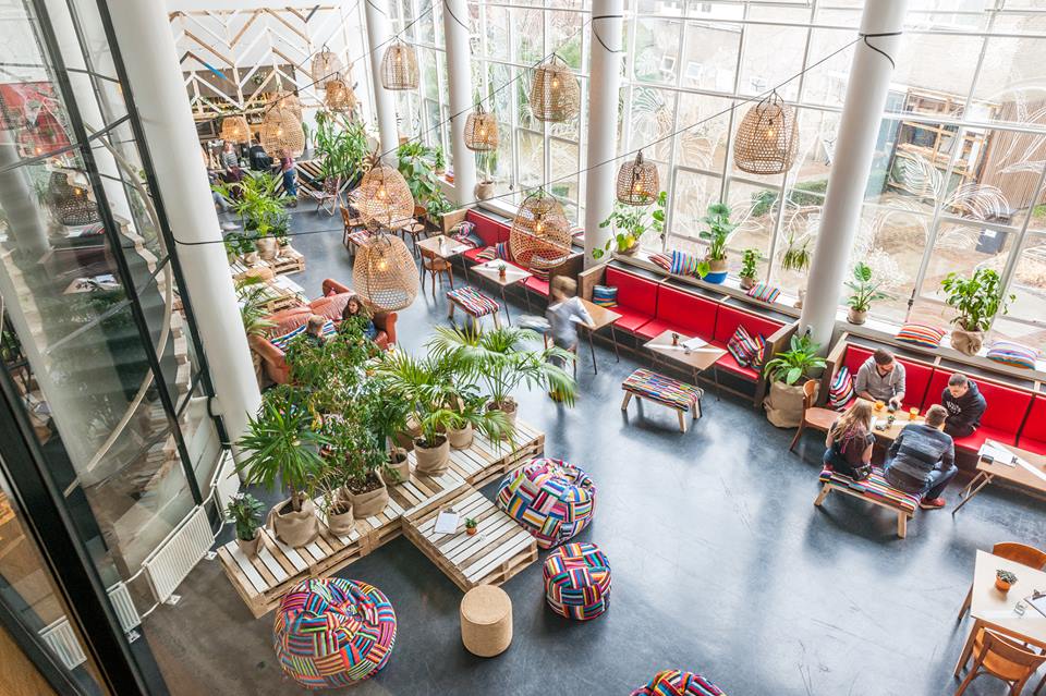 Karibu Café, een oase van groen in de verstening van de stad Appartement Oudenoord