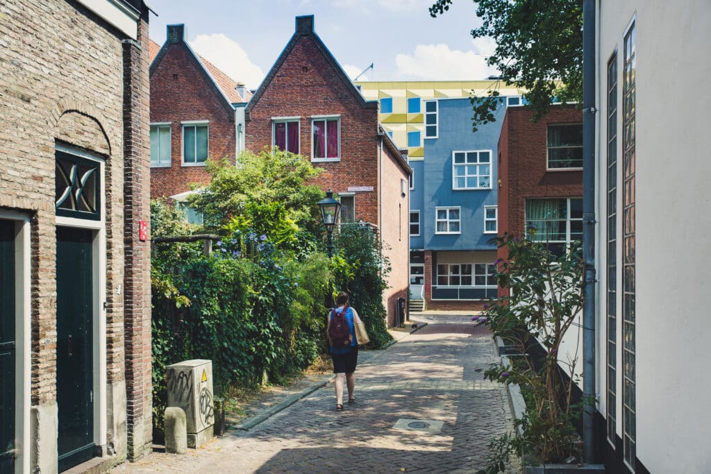 Is de woningmarkt in Nederland onbetaalbaar? Draagt regulering bij aan de betaalbaarheid? Huizenmarkt onbetaalbaar