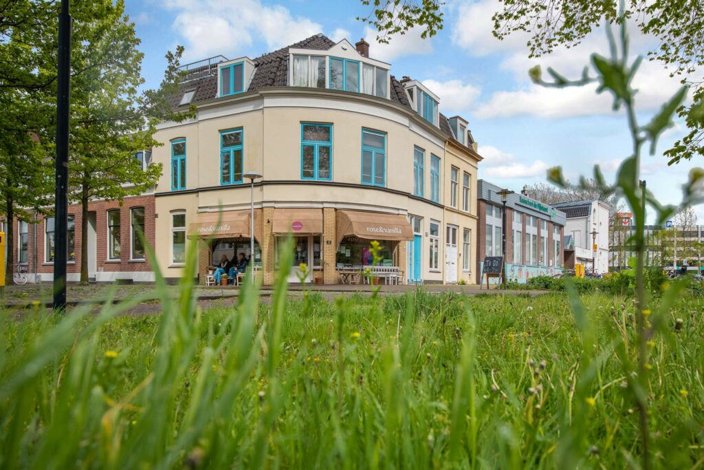 Huizenprijsbubbel, zeepbel of niet Huizenmarktbubbel