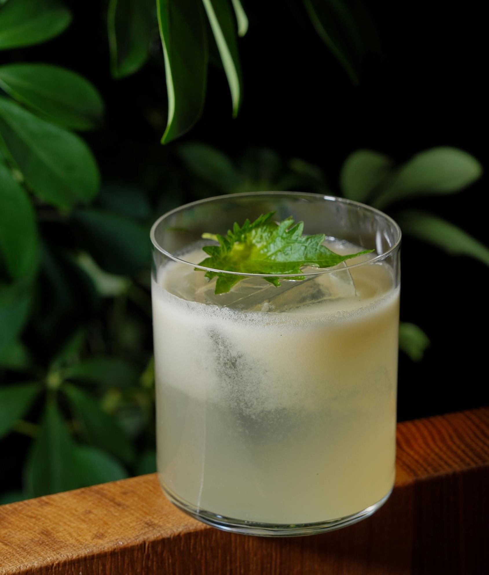 Mint Fizz Mint Fizz Cocktail Drink