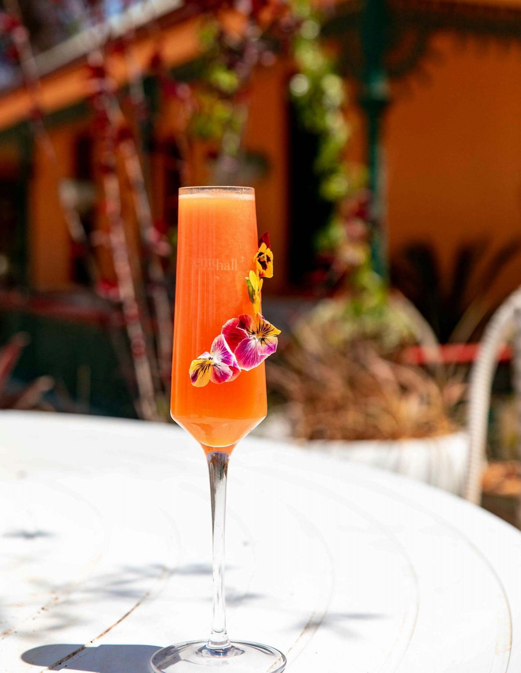 Sex on the Beach Sex on the Beach cocktail drink