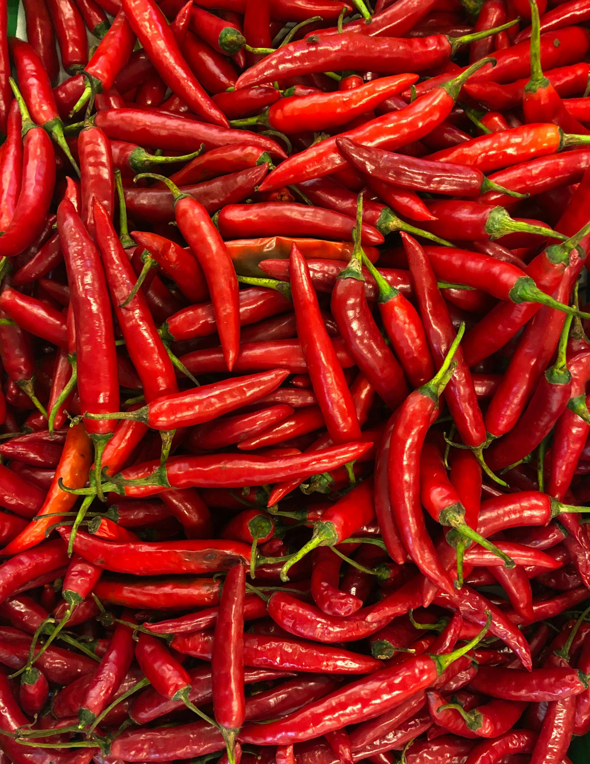 Chilisockerlag Chili till chilisockerlag recept