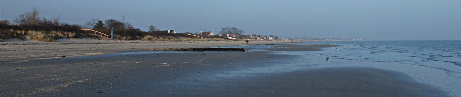 Grundejerforeningen Vejlby Fed