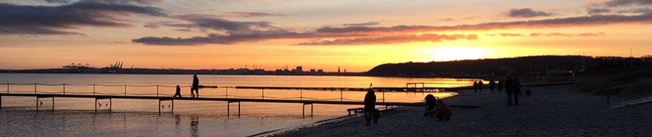 Grundejerforeningen Vejlby Fed