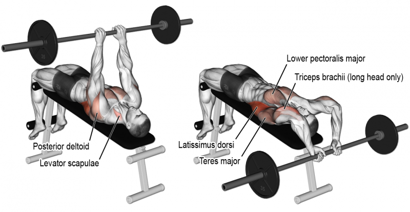 Barbell For Explosive Lat Chest Mass - GymGuider.com