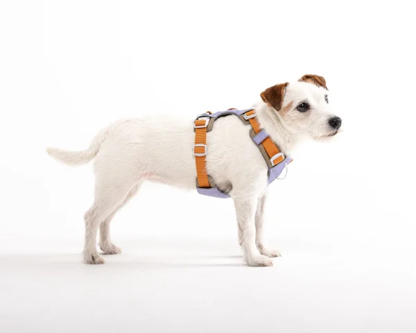 Woolly Wolf ALPHA 360 Harness - Lavendermix - Afbeelding 2