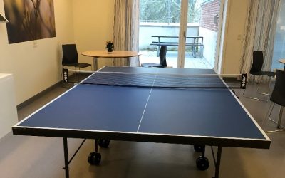 Værdien i et simpelt spil bordtennis