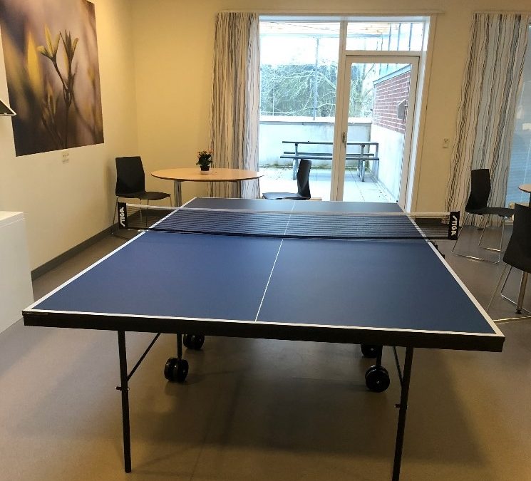 Værdien i et simpelt spil bordtennis