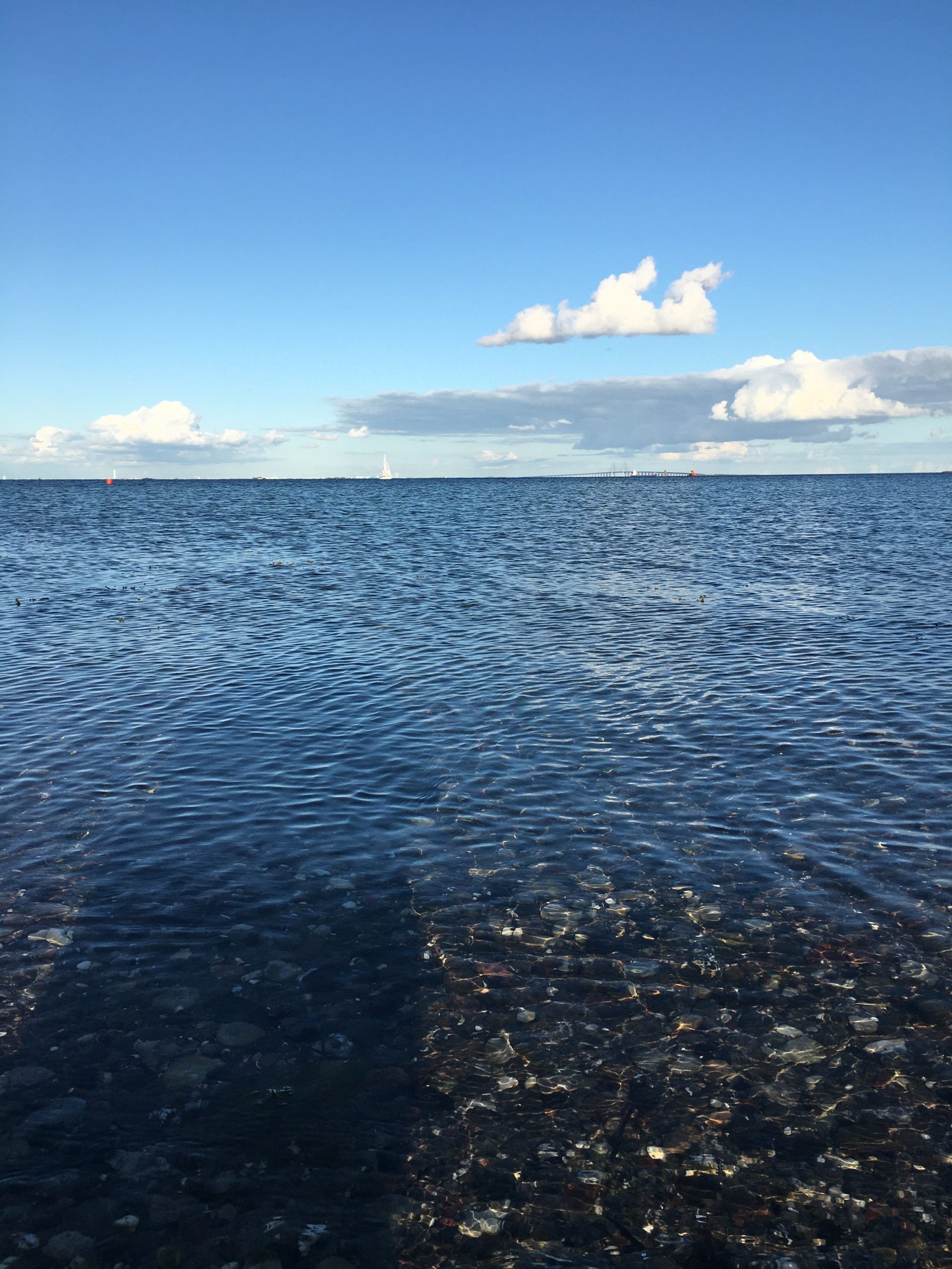 MotionsCafe Amager Strandpark Håb i Psykiatrien