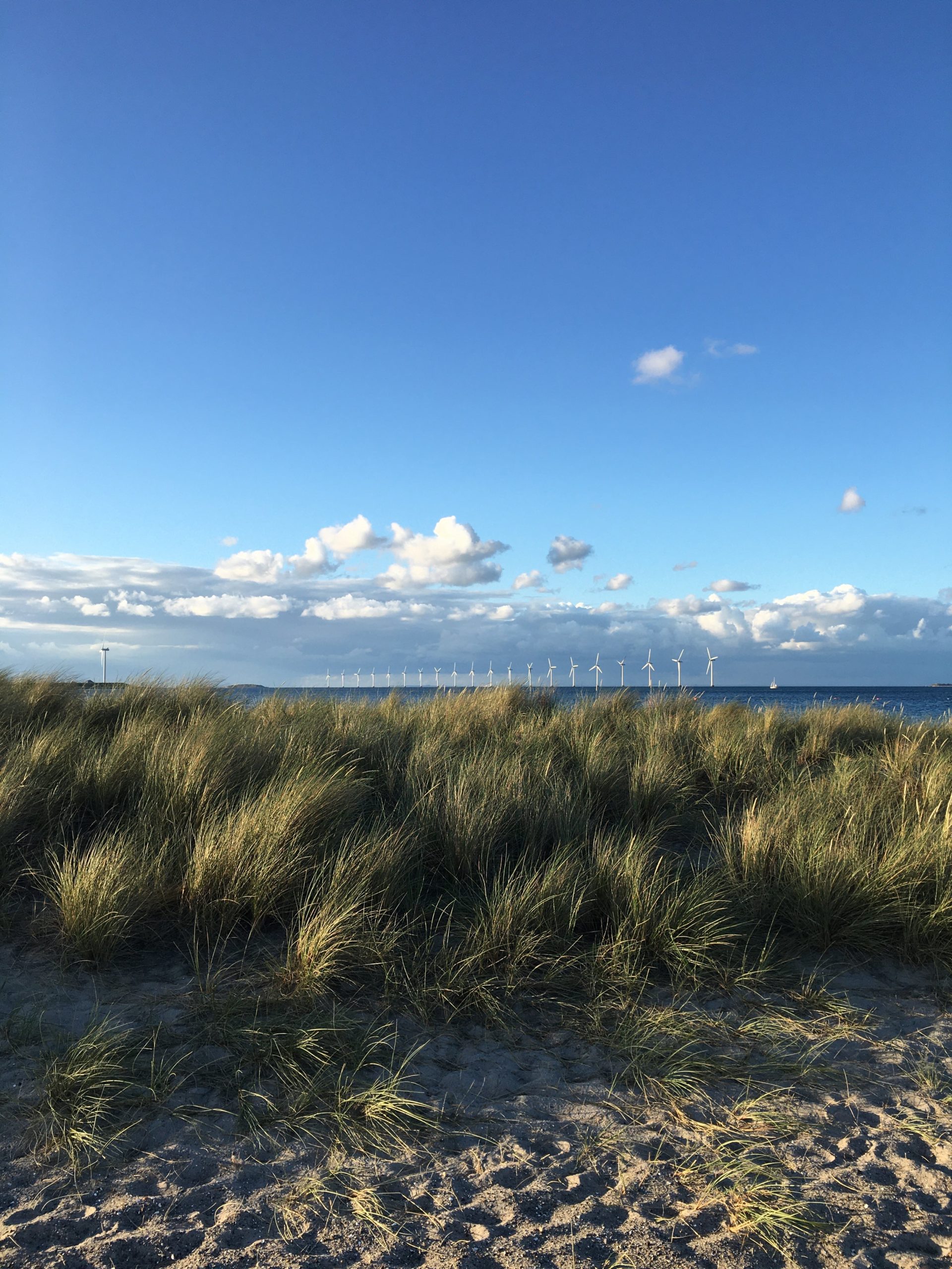 MotionsCafe Amager Strandpark Håb i Psykiatrien