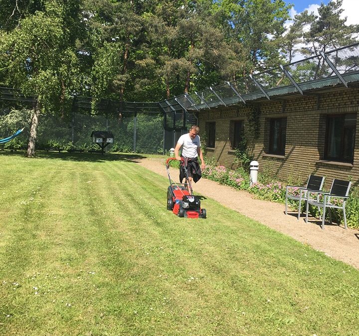 Græsset trænger jo tit til en omgang