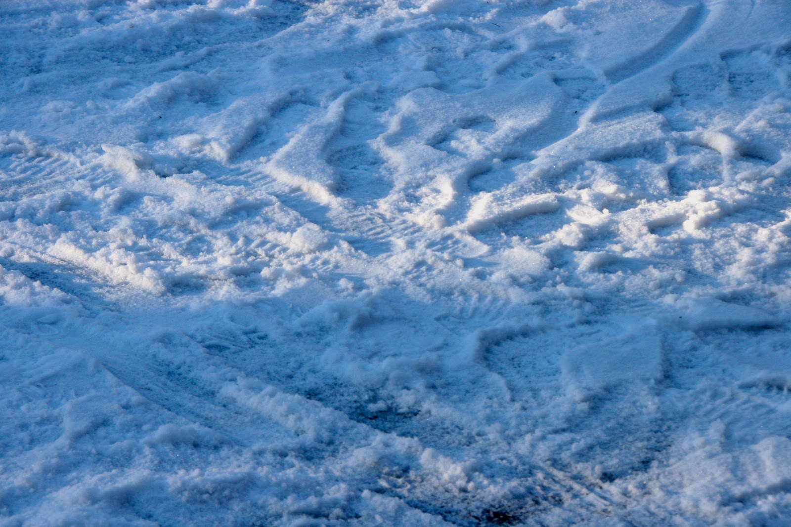 MotionsCafe fodspor i sne