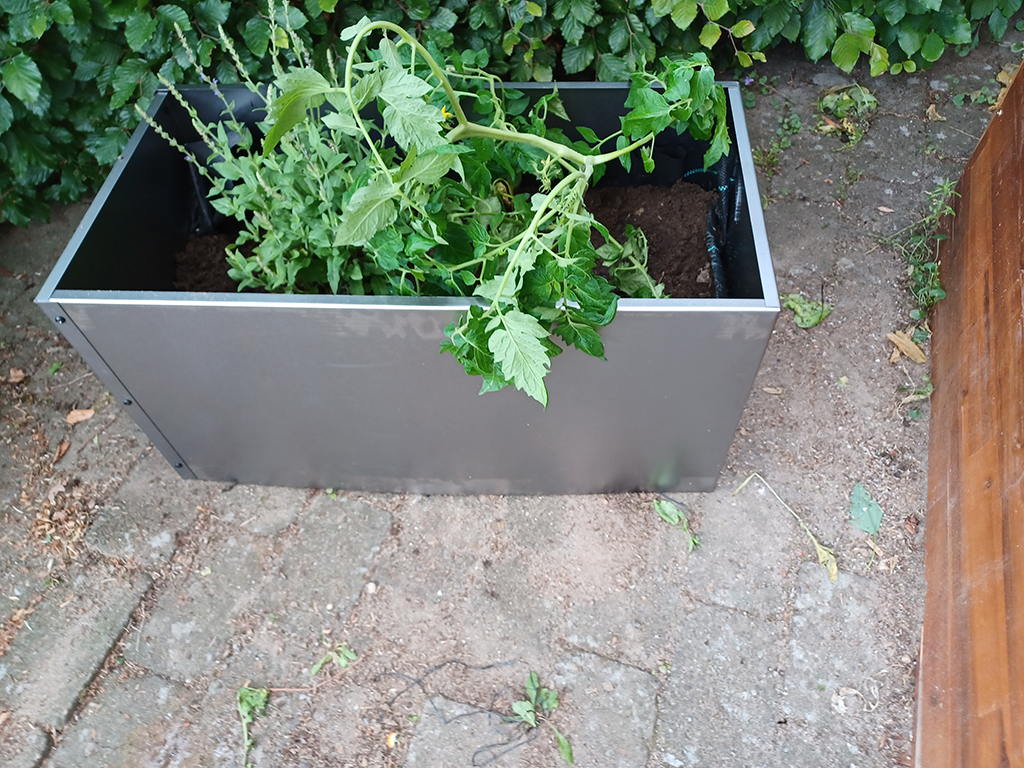 Planteprojekt 1