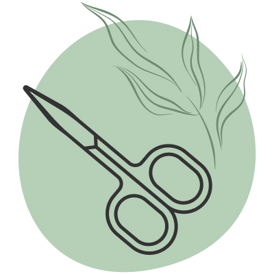 Symbool met groene achtergrond en schaar.