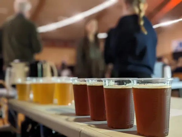 India Pale Ale, 6%, 20L