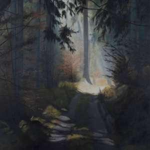Skoven og lyset V