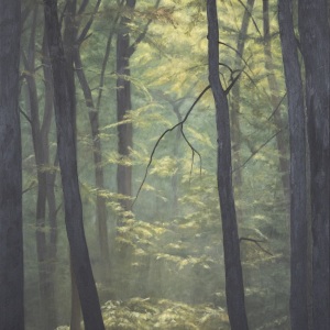Skoven og lyset X