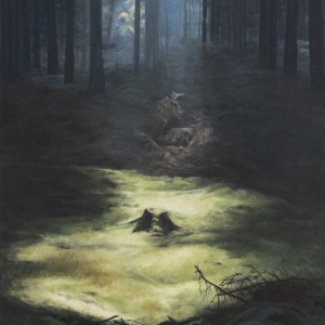 Skoven og lyset XII