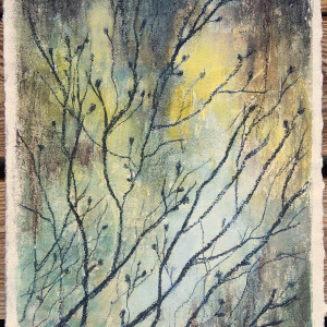 SOLGT Natur-Fragmenter XXIII