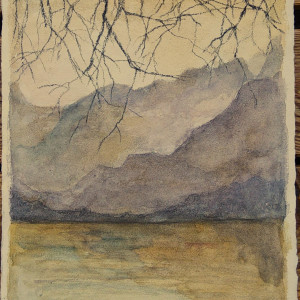 Natur-Fragmenter XXXII