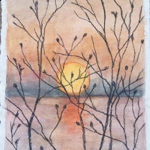 Natur-Fragmenter XLV