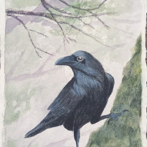 Natur-Fragmenter XLVI