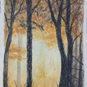 Natur-fragmenter  XXV