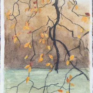 Natur-Fragmenter XXXV