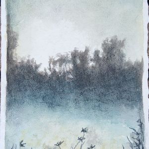 Natur-Fragmenter XXXVII