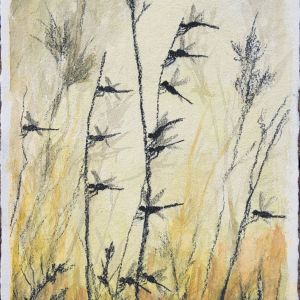 Natur-Fragmenter XXXVIII