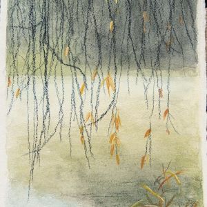 Natur-Fragmenter XXXIX